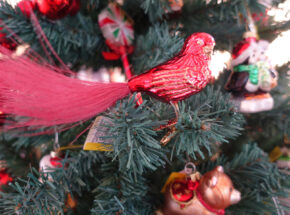 Vogel Rot Christbaumschumck Schulze Weihnachtsmarkt