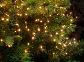 Weihnachtsbeleuchtung Solar Beleuchtung Lichterkette Kaemingk 496261 06940240 23