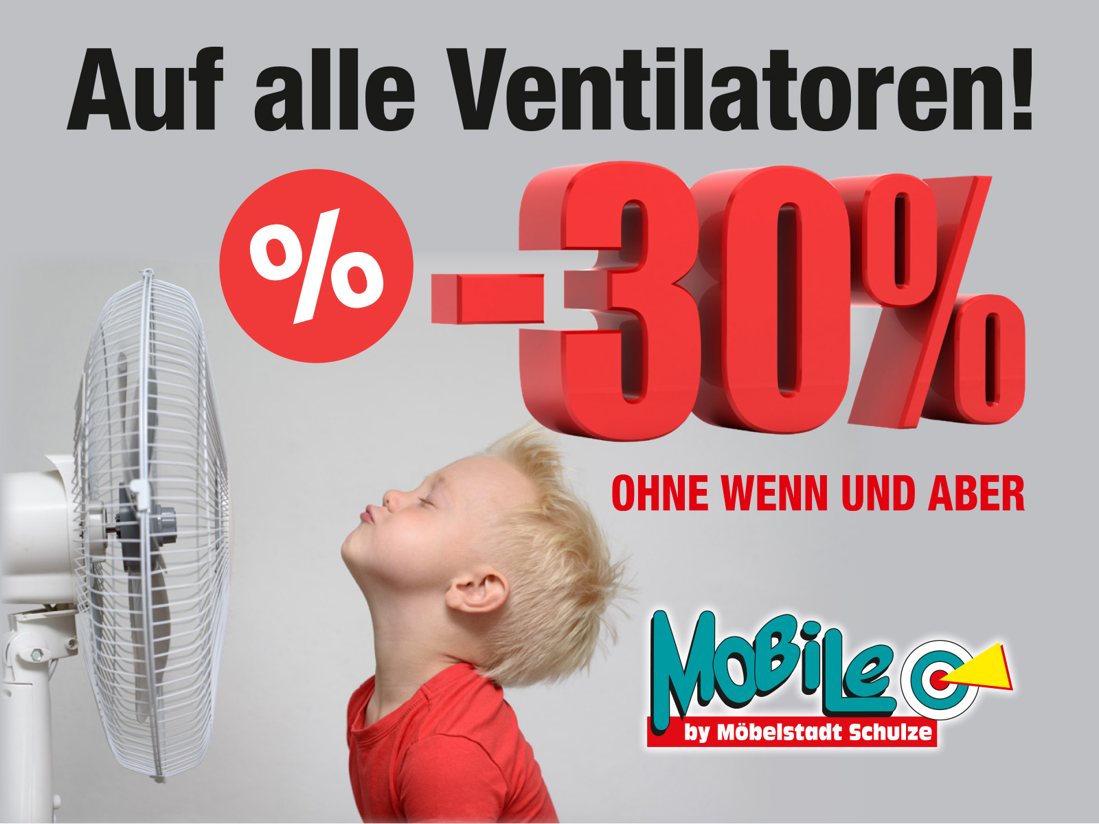 Auf alle Ventilatoren 30% Rabatt im Mobile