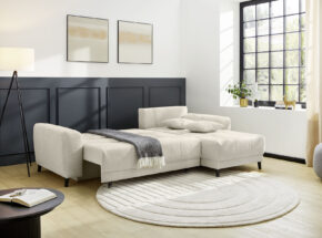 Polstergarnitur Ecksofa Farbe Hellgrau Mit Schlaffunktion 11710277